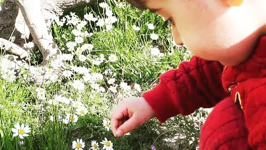 رشد احساسی اجتماعی کودک در ۱۵ ماهگی 