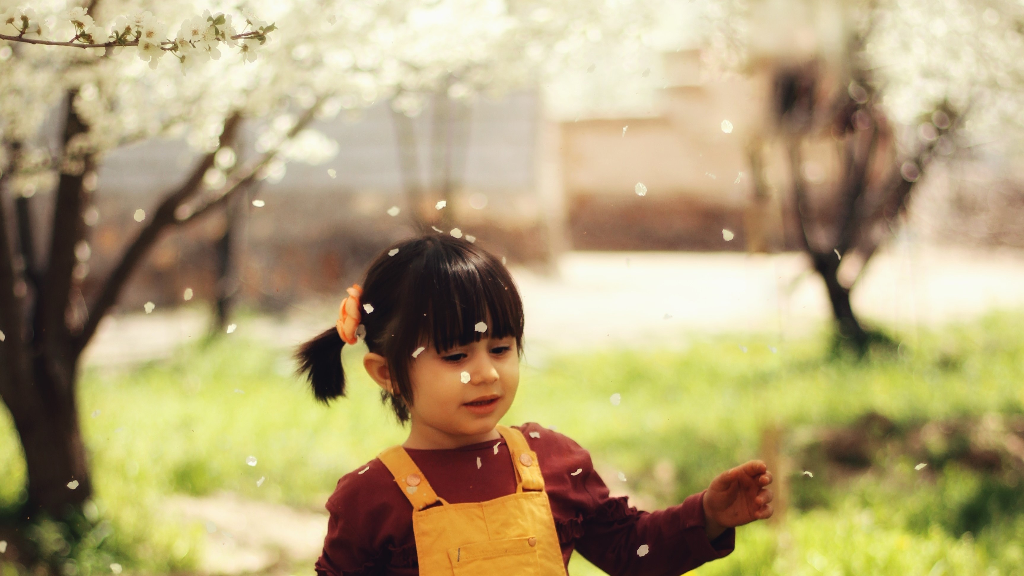پنج سالگی: انرژی زیاد