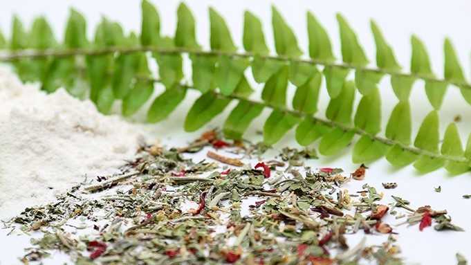 آیا مکمل‌های گیاهی شانس باردار شدن را افزایش می‌دهد؟