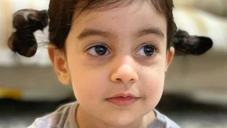 ۳۱ تا ۳۳ ماهگی