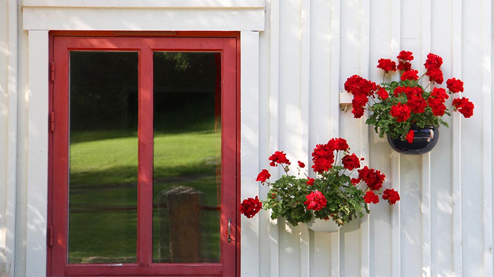 ۱۰ راه برای نگهداری از گیاهان خانگی
