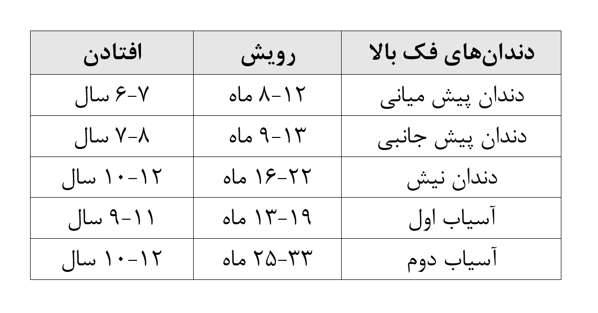 دندان‌ها: فک بالا کودک