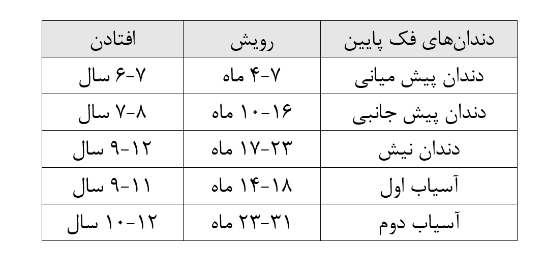 دندان‌ها: فک پایینی کودک